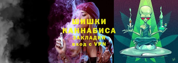 mix Богородицк