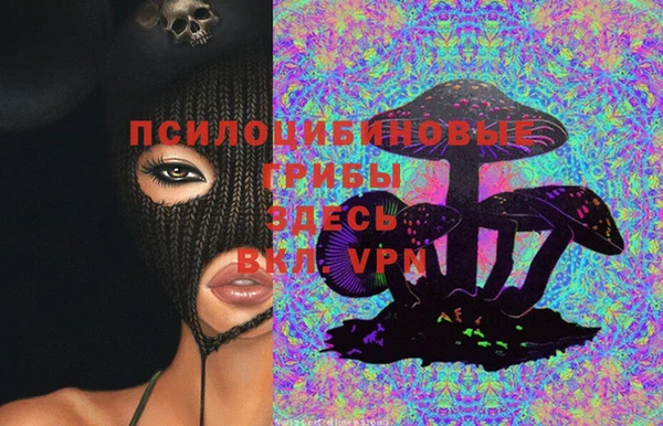 Альфа ПВП Богородск