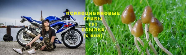 Альфа ПВП Богородск